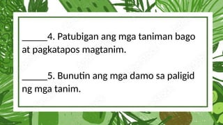 _____4. Patubigan ang mga taniman bago
at pagkatapos magtanim.
_____5. Bunutin ang mga damo sa paligid
ng mga tanim.
 