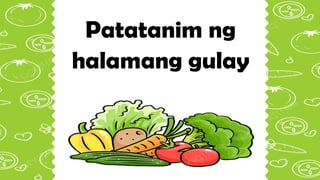 Patatanim ng
halamang gulay
 