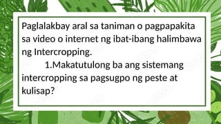 Paglalakbay aral sa taniman o pagpapakita
sa video o internet ng ibat-ibang halimbawa
ng Intercropping.
1.Makatutulong ba ang sistemang
intercropping sa pagsugpo ng peste at
kulisap?
 