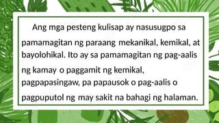 Ang mga pesteng kulisap ay nasusugpo sa
pamamagitan ng paraang mekanikal, kemikal, at
bayolohikal. Ito ay sa pamamagitan ng pag-aalis
ng kamay o paggamit ng kemikal,
pagpapasingaw, pa papausok o pag-aalis o
pagpuputol ng may sakit na bahagi ng halaman.
 