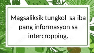 Magsaliksik tungkol sa iba
pang informasyon sa
intercropping.
 
