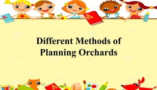 Different Methods of
Planning Orchards
 