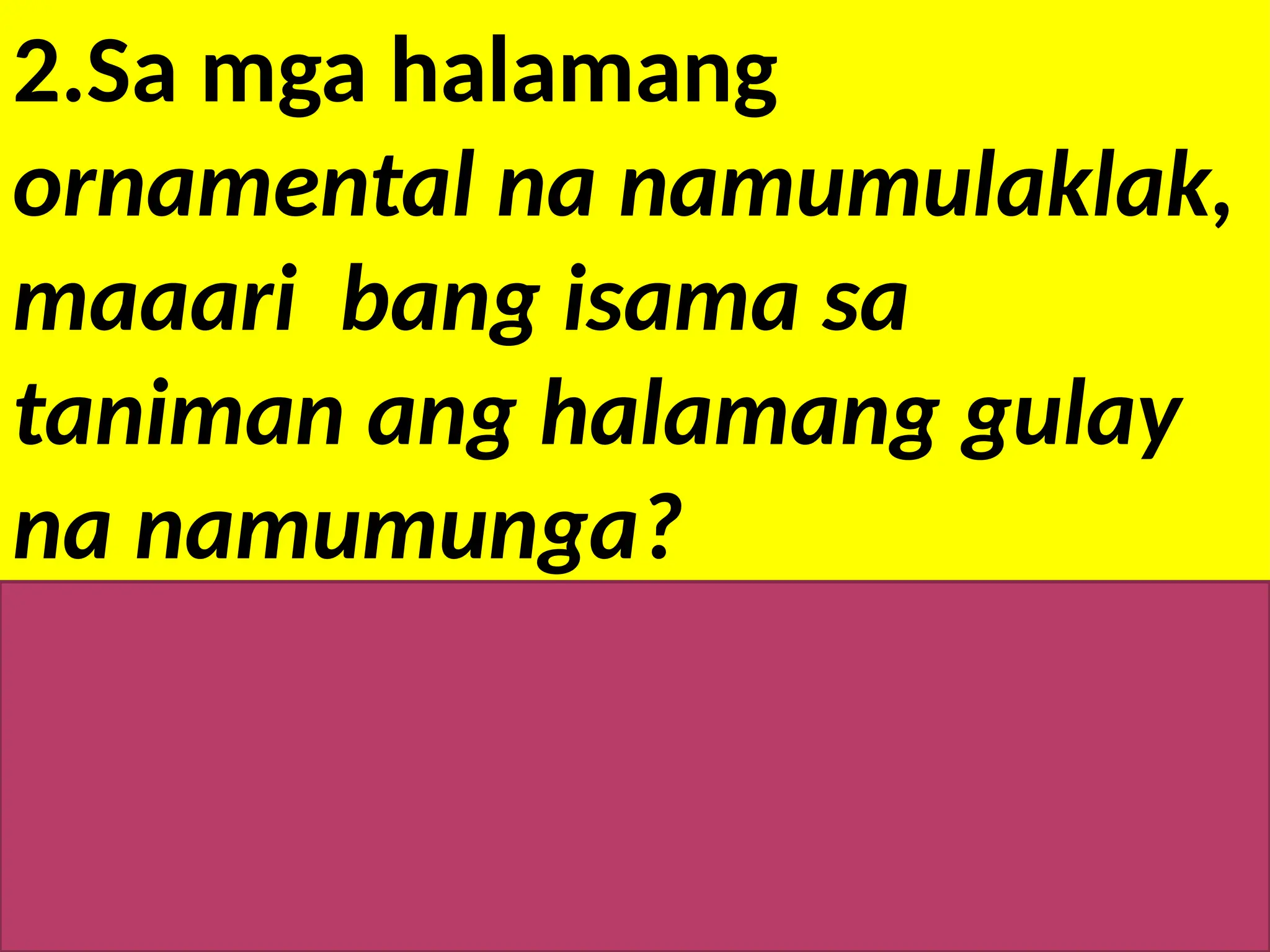 2.Sa mga halamang
ornamental na namumulaklak,
maaari bang isama sa
taniman ang halamang gulay
na namumunga?
opo, maaaring isama ang mga
namumulaklak sa mga
namumungang halaman
 