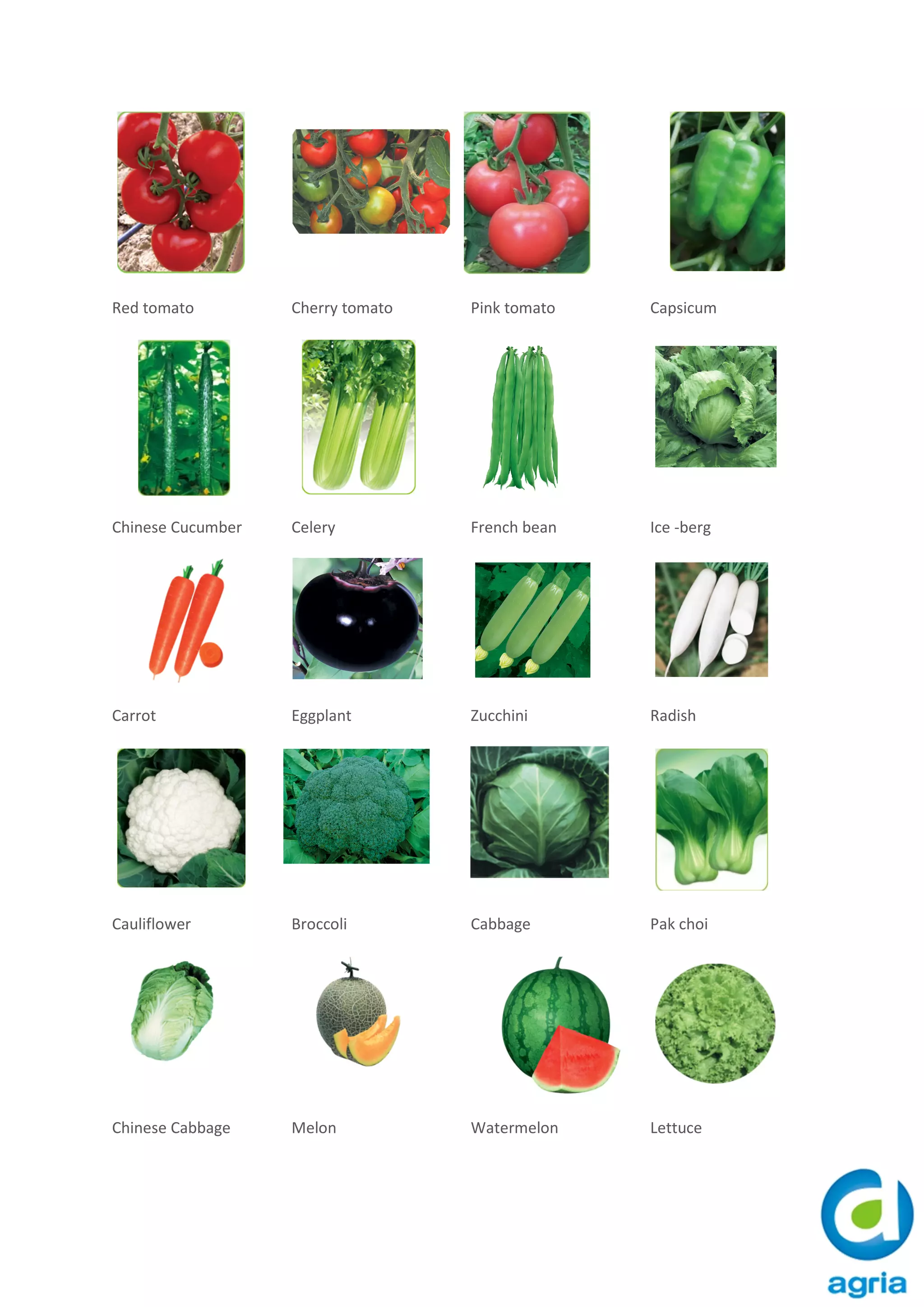 Vegetable Seeds | PDF, image size:2048x2898