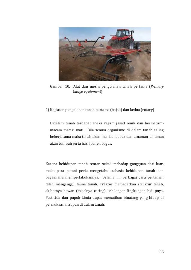 Agribisnis Tanaman Sayuran1