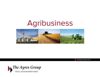 Agribusiness
theayres-group.com
 