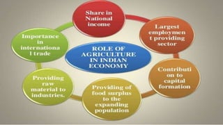 importance of agribusiness in Indian economy | PPTX