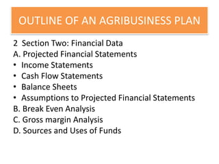 Agribusiness business development plan | PDF
