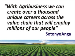Agribusiness creating careers and jobs by sotonye anga
