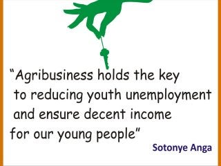 Agribusiness is key to reducing youth unemployment by sotonye anga