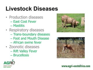 Livestock disease control mechanism 