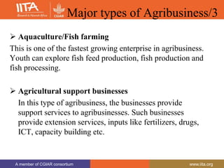 A member of CGIAR consortium www.iita.org
A member of CGIAR consortium www.iita.org
Major types of Agribusiness/3
 Aquaculture/Fish farming
This is one of the fastest growing enterprise in agribusiness.
Youth can explore fish feed production, fish production and
fish processing.
 Agricultural support businesses
In this type of agribusiness, the businesses provide
support services to agribusinesses. Such businesses
provide extension services, inputs like fertilizers, drugs,
ICT, capacity building etc.
 