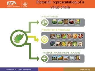 A member of CGIAR consortium www.iita.org
A member of CGIAR consortium www.iita.org
Pictorial representation of a
value chain
 