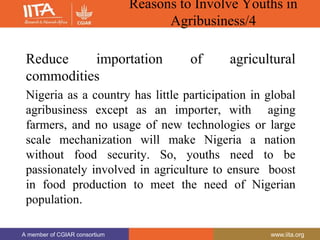 A member of CGIAR consortium www.iita.org
A member of CGIAR consortium www.iita.org
Reasons to Involve Youths in
Agribusiness/4
Reduce importation of agricultural
commodities
Nigeria as a country has little participation in global
agribusiness except as an importer, with aging
farmers, and no usage of new technologies or large
scale mechanization will make Nigeria a nation
without food security. So, youths need to be
passionately involved in agriculture to ensure boost
in food production to meet the need of Nigerian
population.
 