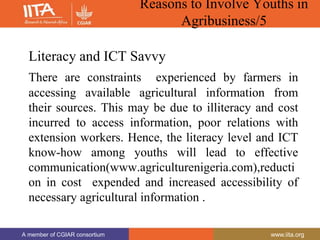 A member of CGIAR consortium www.iita.org
A member of CGIAR consortium www.iita.org
Reasons to Involve Youths in
Agribusiness/5
Literacy and ICT Savvy
There are constraints experienced by farmers in
accessing available agricultural information from
their sources. This may be due to illiteracy and cost
incurred to access information, poor relations with
extension workers. Hence, the literacy level and ICT
know-how among youths will lead to effective
communication(www.agriculturenigeria.com),reducti
on in cost expended and increased accessibility of
necessary agricultural information .
 