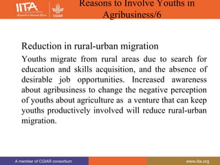A member of CGIAR consortium www.iita.org
A member of CGIAR consortium www.iita.org
Reasons to Involve Youths in
Agribusiness/6
Reduction in rural-urban migration
Youths migrate from rural areas due to search for
education and skills acquisition, and the absence of
desirable job opportunities. Increased awareness
about agribusiness to change the negative perception
of youths about agriculture as a venture that can keep
youths productively involved will reduce rural-urban
migration.
 