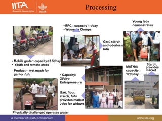 A member of CGIAR consortium www.iita.org
A member of CGIAR consortium www.iita.org
• Mobile grater: capacity< 0.5t/day
• Youth and remote areas
Product - wet mash for
gari or fufu
Gari, starch
and odorless
fufu
Physically challenged operates grater
•MPC : capacity 1 t/day
• Women’s Groups
• Capacity:
2t/day-
Entrepreneurs
Gari, flour,
starch, fufu
provides market
Jobs for widows
Processing
Young lady
demonstrates
MATNA:
capacity:
120t/day
Starch,
provides
market
 