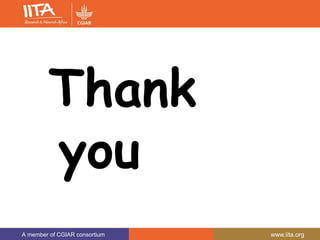 A member of CGIAR consortium www.iita.org
A member of CGIAR consortium www.iita.org
Thank
you
 