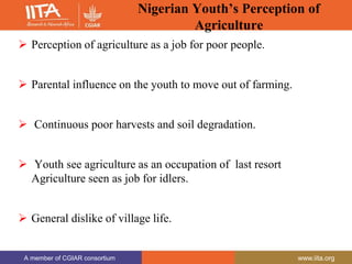 A member of CGIAR consortium www.iita.org
A member of CGIAR consortium www.iita.org
Nigerian Youth’s Perception of
Agriculture
 Perception of agriculture as a job for poor people.
 Parental influence on the youth to move out of farming.
 Continuous poor harvests and soil degradation.
 Youth see agriculture as an occupation of last resort
Agriculture seen as job for idlers.
 General dislike of village life.
 