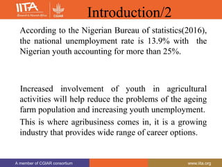 A member of CGIAR consortium www.iita.org
A member of CGIAR consortium www.iita.org
Introduction/2
According to the Nigerian Bureau of statistics(2016),
the national unemployment rate is 13.9% with the
Nigerian youth accounting for more than 25%.
Increased involvement of youth in agricultural
activities will help reduce the problems of the ageing
farm population and increasing youth unemployment.
This is where agribusiness comes in, it is a growing
industry that provides wide range of career options.
 