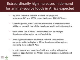 Creating a livestock sector with global competitor advantages in East Africa 