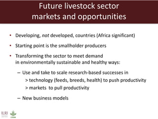 Creating a livestock sector with global competitor advantages in East Africa 