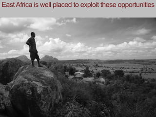 Creating a livestock sector with global competitor advantages in East Africa 