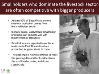 Creating a livestock sector with global competitor advantages in East Africa 