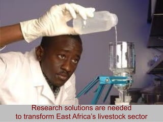 Creating a livestock sector with global competitor advantages in East Africa 