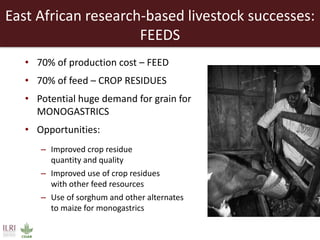 Creating a livestock sector with global competitor advantages in East Africa 