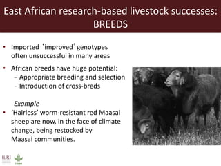 Creating a livestock sector with global competitor advantages in East Africa 