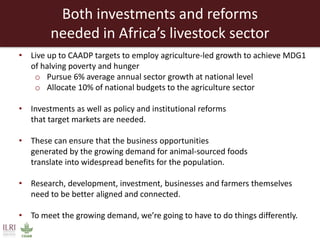 Creating a livestock sector with global competitor advantages in East Africa 
