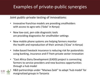 Creating a livestock sector with global competitor advantages in East Africa 