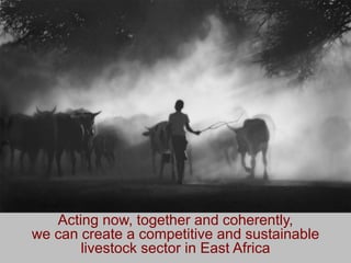 Creating a livestock sector with global competitor advantages in East Africa 