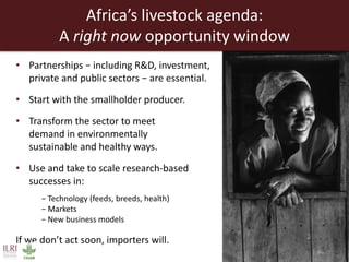 Creating a livestock sector with global competitor advantages in East Africa 