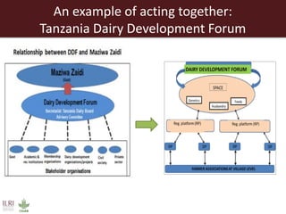 Creating a livestock sector with global competitor advantages in East Africa 