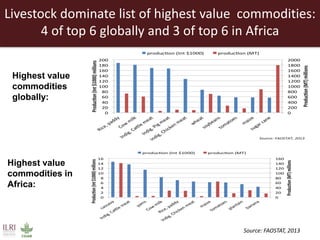 Creating a livestock sector with global competitor advantages in East Africa 