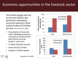 Creating a livestock sector with global competitor advantages in East Africa 
