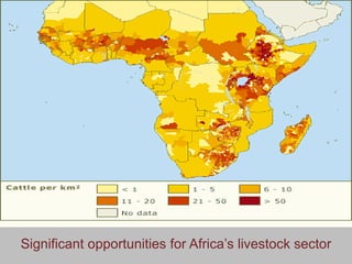 Creating a livestock sector with global competitor advantages in East Africa 