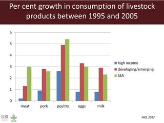 Creating a livestock sector with global competitor advantages in East Africa 