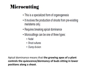 Apical dominance means that the growing apex of a plant
controls the quiescence/dormancy of buds sitting in lower
positions along a shoot.
 