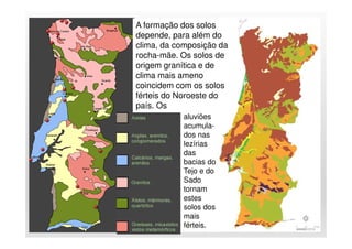 10
Os
aluviões
acumula-
dos nas
lezírias
das
bacias do
Tejo e do
Sado
tornam
estes
solos dos
mais
férteis.
A formação dos solos
depende, para além do
clima, da composição da
rocha-mãe. Os solos de
origem granítica e de
clima mais ameno
coincidem com os solos
férteis do Noroeste do
país. Os
 
