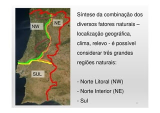 Síntese da combinação dos
diversos fatores naturais –
localização geográfica,
clima, relevo - é possível
considerar três grandes
regiões naturais:
- Norte Litoral (NW)
- Norte Interior (NE)
- Sul 12
NW
NE
SUL
 