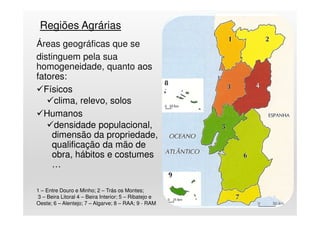 Regiões Agrárias
Áreas geográficas que se
distinguem pela sua
homogeneidade, quanto aos
fatores:
Físicos
clima, relevo, solos
Humanos
densidade populacional,
dimensão da propriedade,
qualificação da mão de
obra, hábitos e costumes
…
14
1 – Entre Douro e Minho; 2 – Trás os Montes;
3 – Beira Litoral 4 – Beira Interior; 5 – Ribatejo e
Oeste; 6 – Alentejo; 7 – Algarve; 8 – RAA; 9 - RAM
 