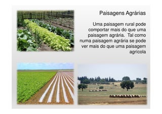 Uma paisagem rural pode
comportar mais do que uma
paisagem agrária. Tal como
numa paisagem agrária se pode
ver mais do que uma paisagem
agrícola
16
Paisagens Agrárias
 