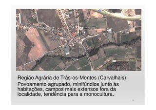 Região Agrária de Trás-os-Montes (Carvalhais)
Povoamento agrupado, minifúndios junto às
habitações, campos mais extensos fora da
localidade, tendência para a monocultura.
20
 