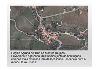 Região Agrária de Trás-os-Montes (Bujões)
Povoamento agrupado, minifúndios junto às habitações,
campos mais extensos fora da localidade, tendência para a
monocultura - vinha. 21
 