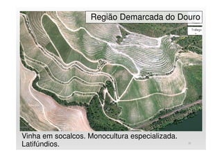 Região Demarcada do Douro
Vinha em socalcos. Monocultura especializada.
Latifúndios. 22
 
