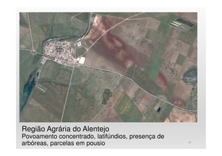 Região Agrária do Alentejo
Povoamento concentrado, latifúndios, presença de
arbóreas, parcelas em pousio 23
 
