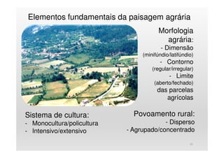 Elementos fundamentais da paisagem agrária
24
Morfologia
agrária:
- Dimensão
(minifúndio/latifúndio)
- Contorno
(regular/irregular)
- Limite
(aberto/fechado)
das parcelas
agrícolas
Sistema de cultura:
- Monocultura/policultura
- Intensivo/extensivo
Povoamento rural:
- Disperso
- Agrupado/concentrado
 